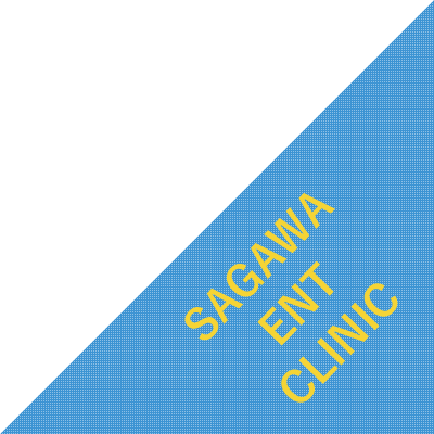 耳鼻咽喉科さがわクリニックは・・・｜耳鼻咽喉科さがわクリニック｜京都市西京区新林センター前にある耳鼻咽喉科