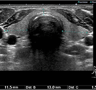 診療案内｜耳鼻咽喉科さがわクリニック｜京都市西京区新林センター前にある耳鼻咽喉科